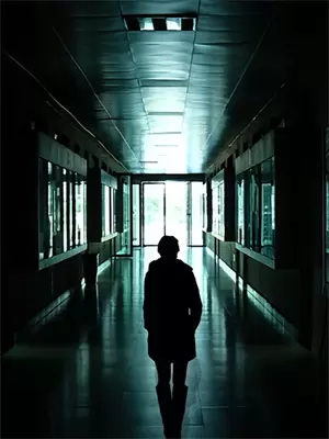 是不是他小说解说