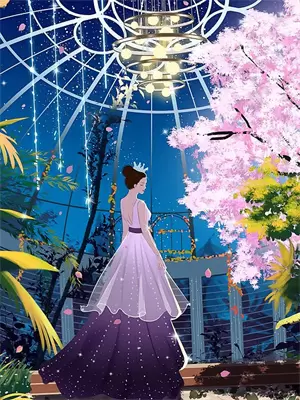 奇幻夜解说