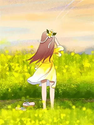 她与光同行简介